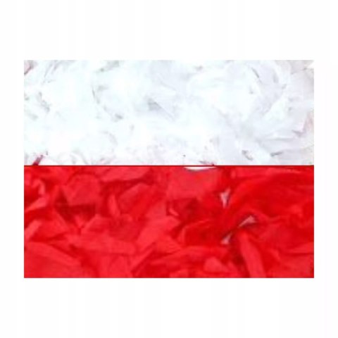 KREPINA MARSZCZONA BIAŁA CZERWONA MINI 10x250 cm Zestaw 6 SZTUK KREPINA MARSZCZONA BIAŁA CZERWONA MINI 10x250 cm Zestaw 6 SZTUK