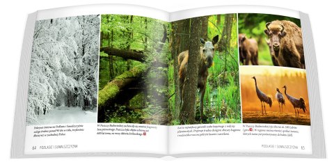 Polska. 1000 lat w sercu Europy; album mini