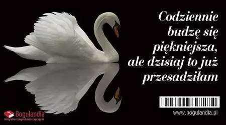 Magnes na lodówkę. Codziennie budzę się piękniejsza... Magnes na lodówkę. Codziennie budzę się piękniejsza...