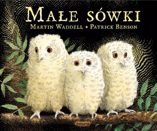 Małe sówki