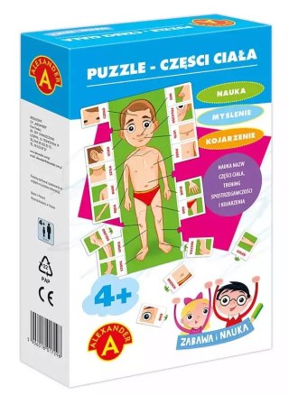 Puzzle 21 elementów. Części ciała