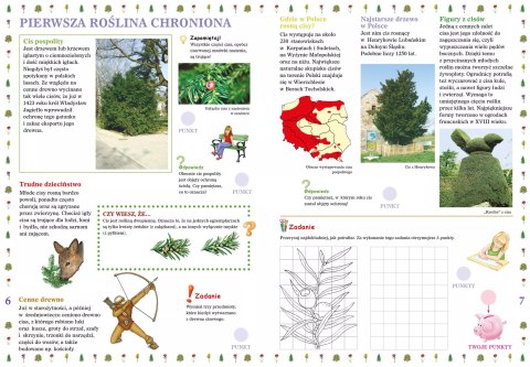 Rośliny chronione Rośliny chronione
