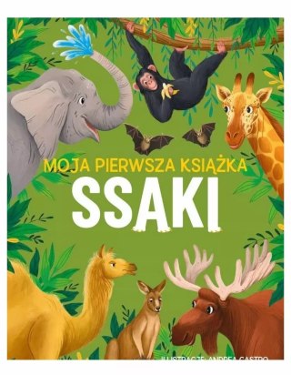 Moja pierwsza książka. Ssaki