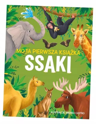 Moja pierwsza książka. Ssaki
