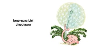 Pomelo i kolory