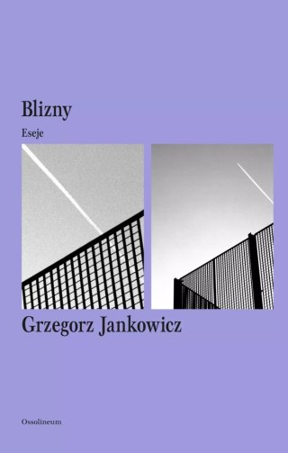 Blizny. Eseje