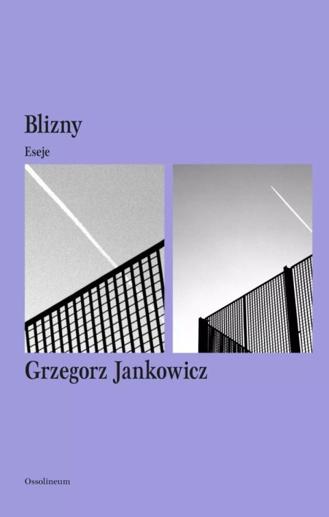 Blizny. Eseje Blizny. Eseje