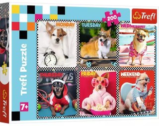 Puzzle 200 elementów. Wesołe psy