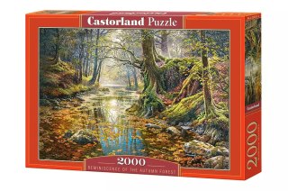Puzzle 2000 elementów. Wspomnienie jesiennego lasu