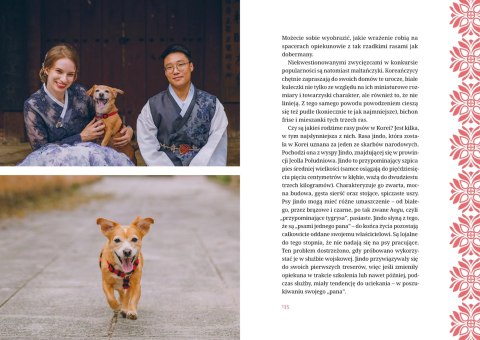Polka w Korei. Jak się żyje w kraju K-popu, kimchi i Samsunga