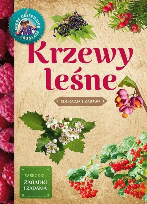 Krzewy leśne Krzewy leśne