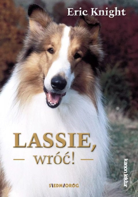 Lassie, wróć! Lassie, wróć!