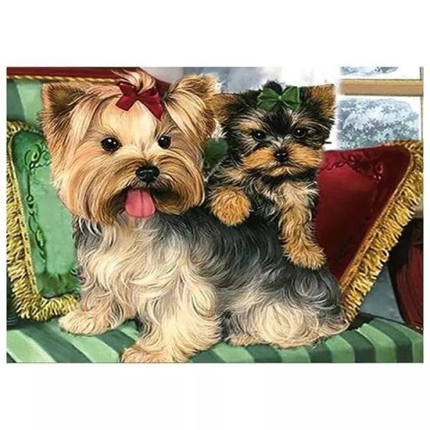 Mozaika diamentowa 5D - Yorki 40x30cm Mozaika diamentowa 5D - Yorki 40x30cm