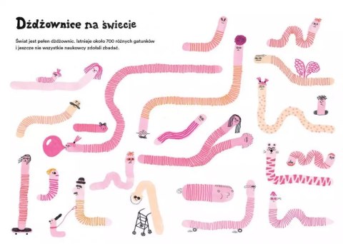 Pokręcone życie dżdżownicy Pokręcone życie dżdżownicy