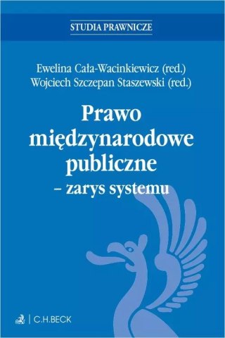 Prawo międzynarodowe publiczne - zarys systemu + testy online
