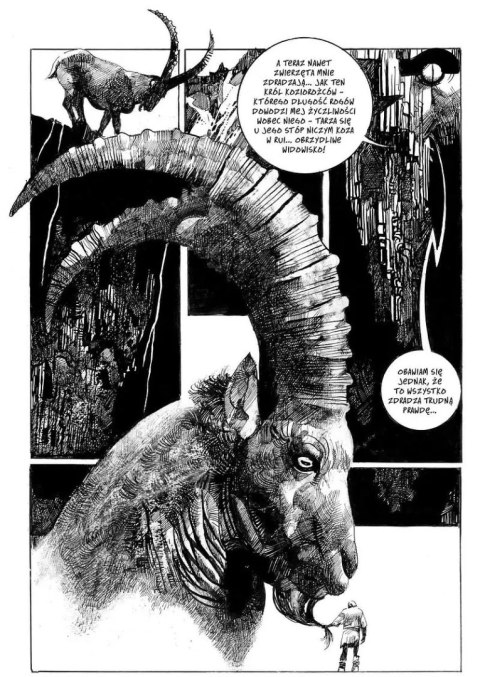 Toppi. Kolekcja. Tom 1: Zaczarowany świat Toppi. Kolekcja. Tom 1: Zaczarowany świat