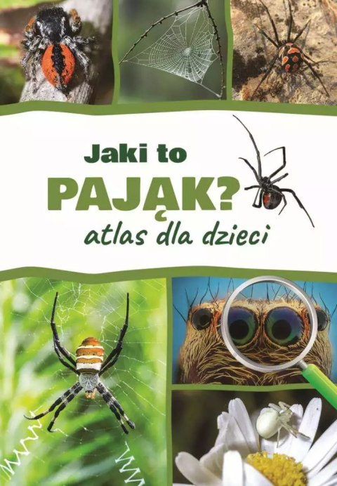 Jaki to pająk? Atlas dla dzieci Jaki to pająk? Atlas dla dzieci