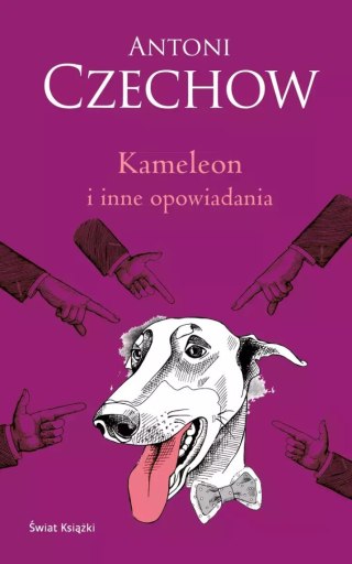 Kameleon i inne opowiadania (elegancka edycja)