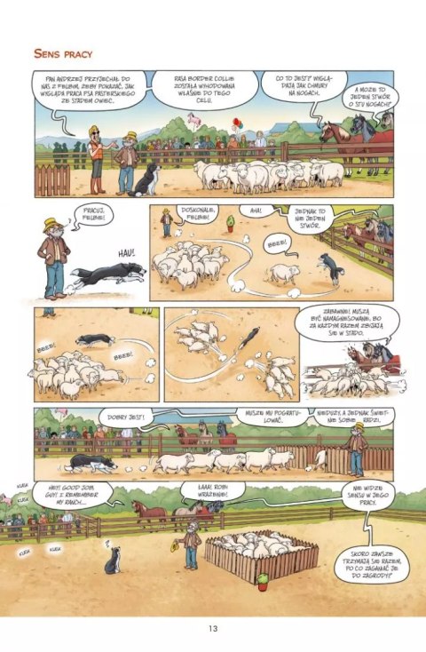Komiksy są super! Koń by się uśmiał!. Tom 2. Z rozwianą grzywą Komiksy są super! Koń by się uśmiał!. Tom 2. Z rozwianą grzywą