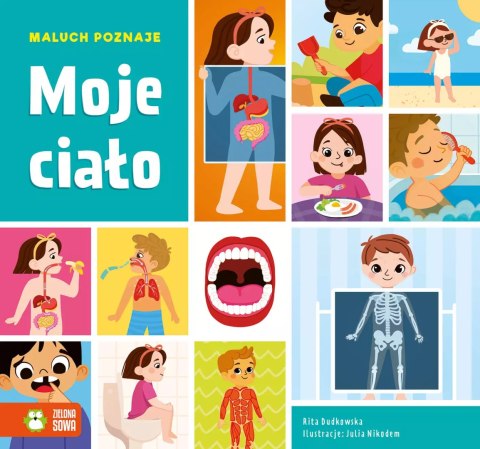 Maluch poznaje. Moje ciało Maluch poznaje. Moje ciało