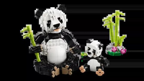 LEGO Creator 3 w 1 Dzikie zwierzęta: rodzina pand 31165