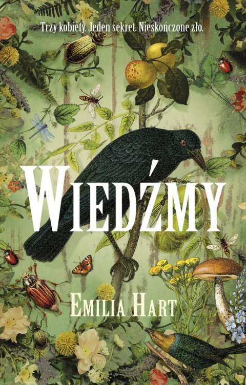 Wiedźmy Wiedźmy