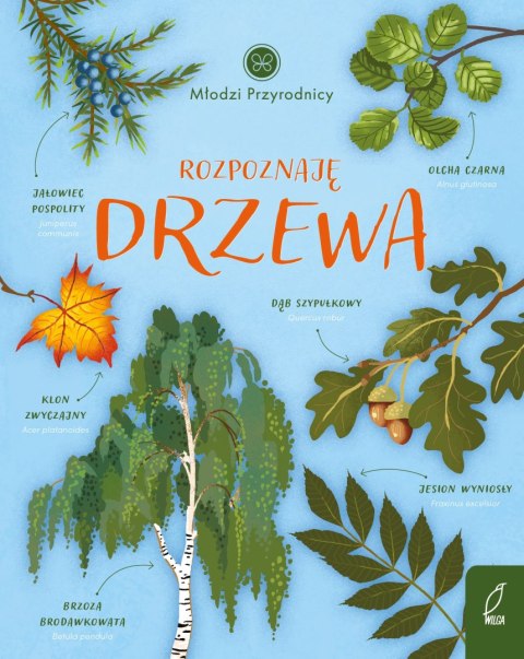 Młodzi przyrodnicy. Rozpoznaję drzewa Młodzi przyrodnicy. Rozpoznaję drzewa