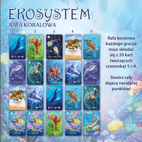 Ekosystem 2. Rafa koralowa Ekosystem 2. Rafa koralowa