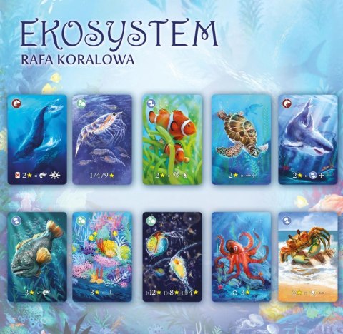 Ekosystem 2. Rafa koralowa Ekosystem 2. Rafa koralowa