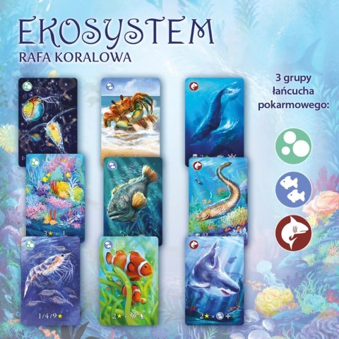 Ekosystem 2. Rafa koralowa Ekosystem 2. Rafa koralowa
