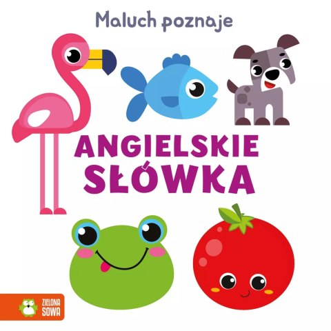 Maluch poznaje. Angielskie słówka Maluch poznaje. Angielskie słówka