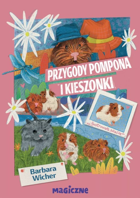 Przygody Pompona i Kieszonki Przygody Pompona i Kieszonki