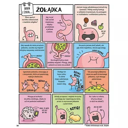Dzień z życia skunksa, jelita i tego, kto to czyta Dzień z życia skunksa, jelita i tego, kto to czyta