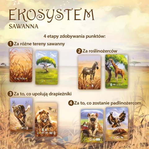 Ekosystem 3. Sawanna Ekosystem 3. Sawanna