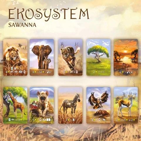 Ekosystem 3. Sawanna Ekosystem 3. Sawanna