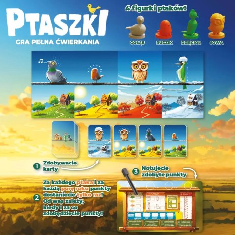 Ptaszki Ptaszki