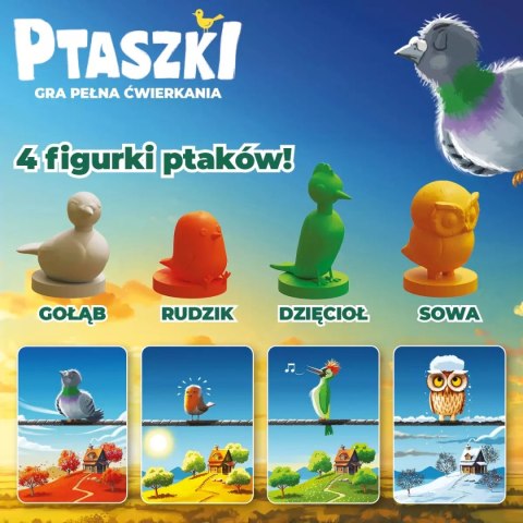 Ptaszki Ptaszki