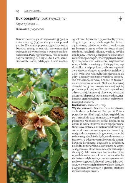 Rośliny leśne