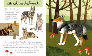 Mały atlas psów (i szczeniaków) Ewy i Pawła Pawlaków