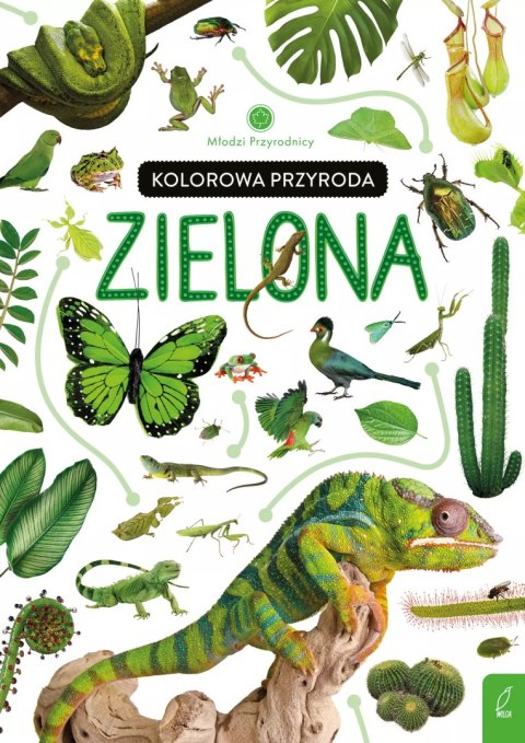 Młodzi przyrodnicy. Kolorowa przyroda. Zielona Młodzi przyrodnicy. Kolorowa przyroda. Zielona