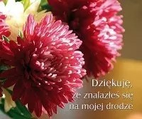 Perełka 182. Dziękuję, że znalazłeś się na mojej drodze