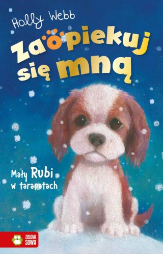 Zaopiekuj się mną. Mały Rubi w tarapatach (wyd. 2022)