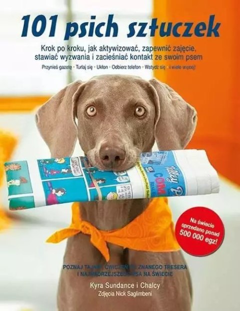101 psich sztuczek. Krok po kroku, jak aktywizować, zapewnić zajęcie, stawiać wyzwania i zacieśniać kontakt ze swoim psem 101 psich sztuczek. Krok po kroku, jak aktywizować, zapewnić zajęcie, stawiać wyzwania i zacieśniać kontakt ze swoim psem