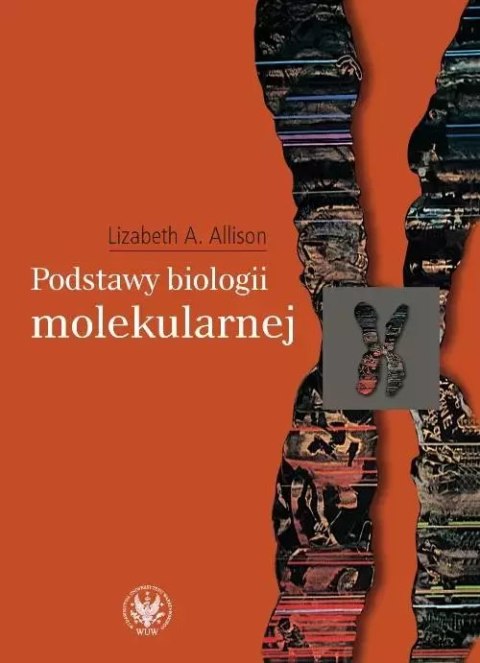 Podstawy biologii molekularnej Podstawy biologii molekularnej