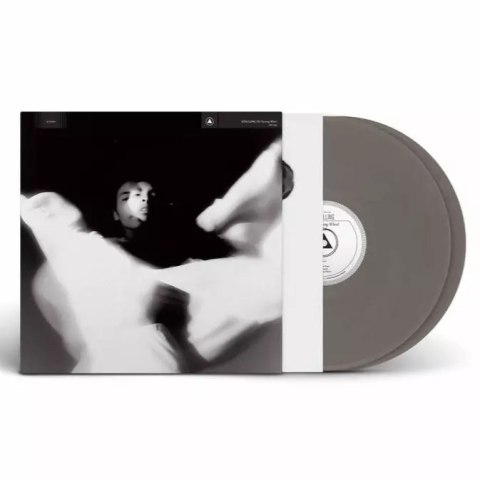 The Turning Wheel LP SILVER, Winyl The Turning Wheel LP SILVER, Winyl