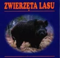 Zwierzęta lasu