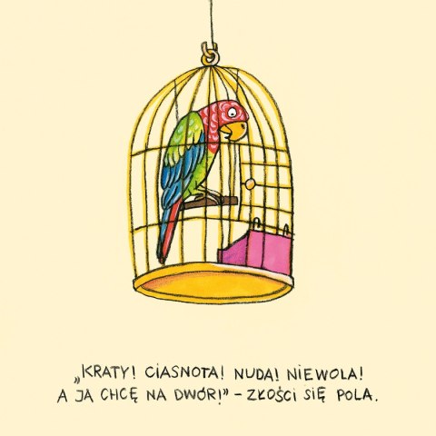 Pola z ulicy Czereśniowej Pola z ulicy Czereśniowej