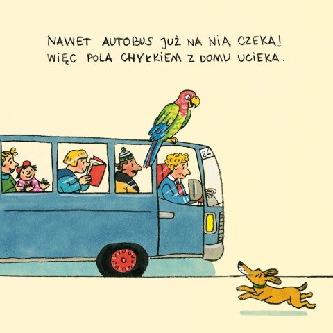 Pola z ulicy Czereśniowej Pola z ulicy Czereśniowej