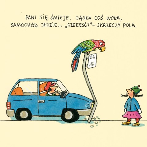 Pola z ulicy Czereśniowej Pola z ulicy Czereśniowej