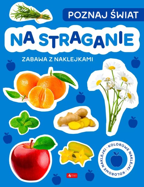Poznaj świat. Zabawa z naklejkami. Na straganie Poznaj świat. Zabawa z naklejkami. Na straganie
